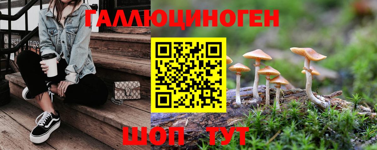 Псилоцибиновые грибы Psilocybine cubensis Махачкала