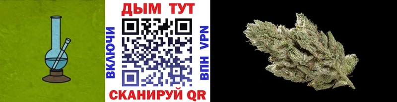 купить   Махачкала  МАРИХУАНА SATIVA & INDICA 